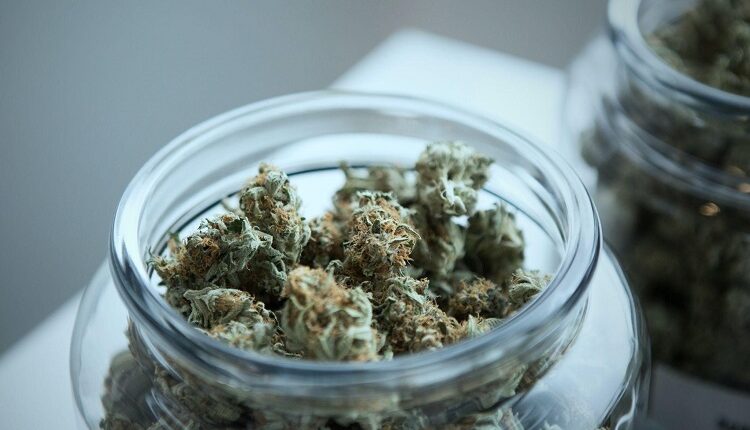 Drying Weed