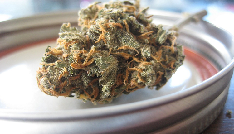 CBD Flowers