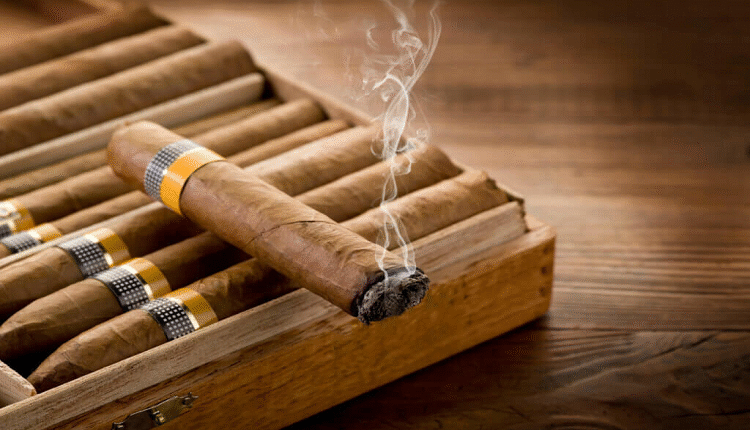 Cigar